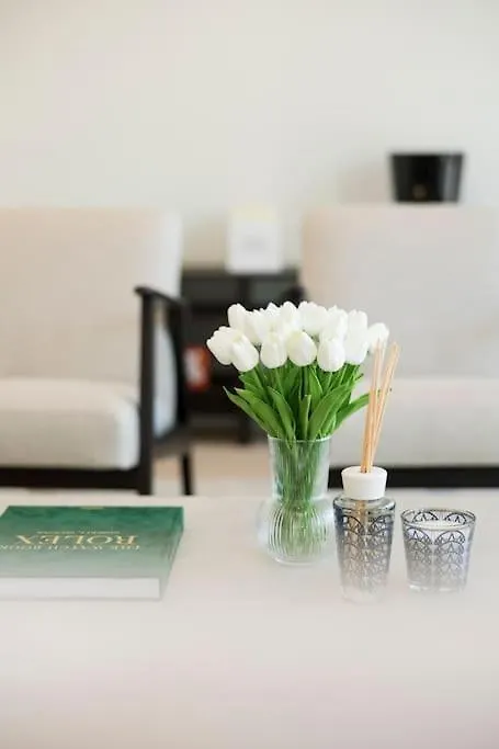 Designer Apartment Hyper Central Antwerp Belgium